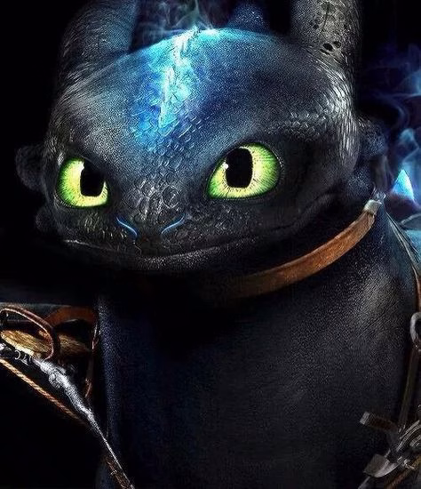 How To Train Your Dragon