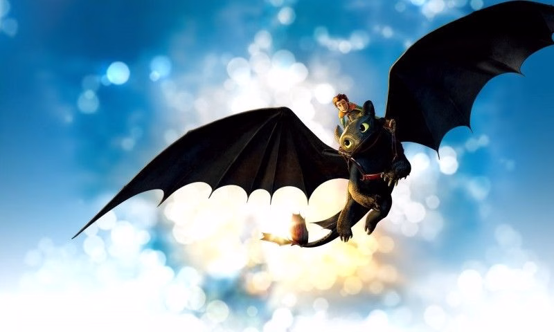 How To Train Your Dragon