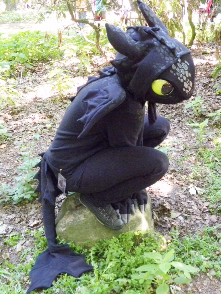 How To Train Your Dragon