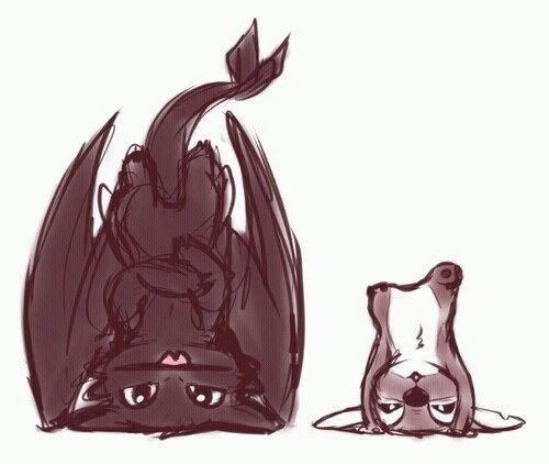 How To Train Your Dragon
