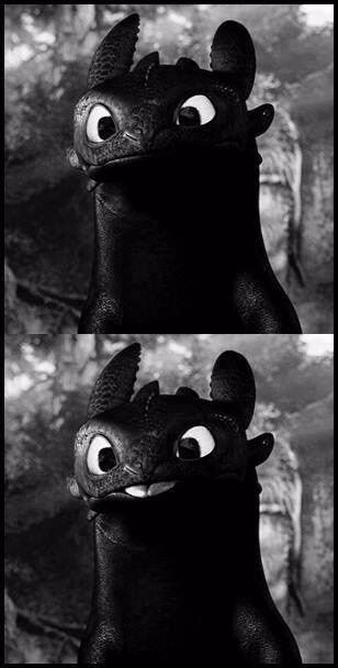 How To Train Your Dragon