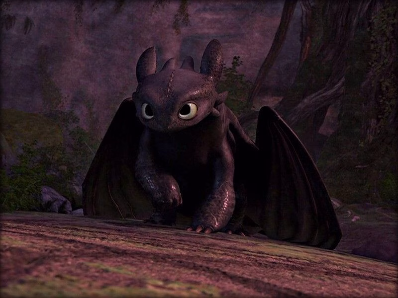 How To Train Your Dragon