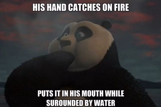 Kung Fu Panda