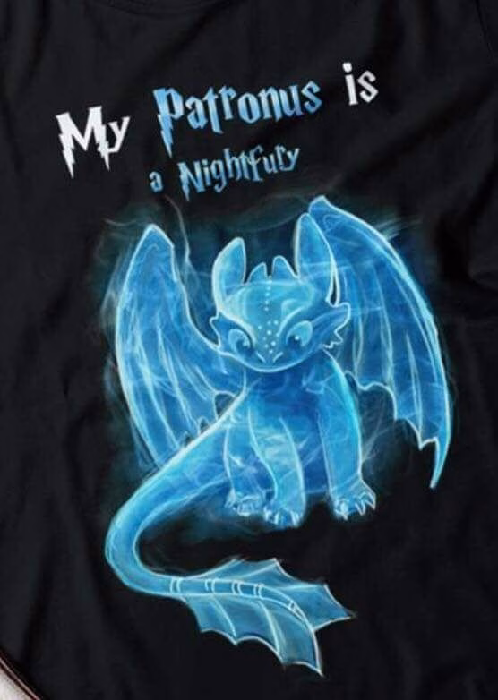 How To Train Your Dragon