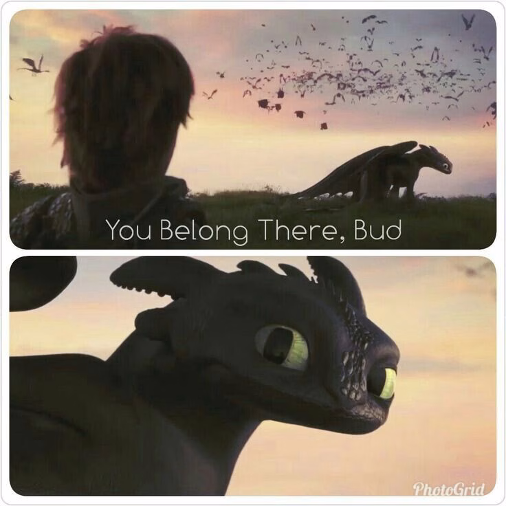 How To Train Your Dragon