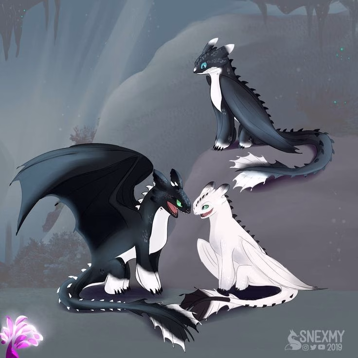 How To Train Your Dragon