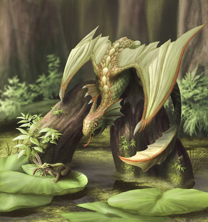 Dragon