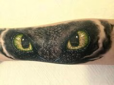 How To Train Your Dragon