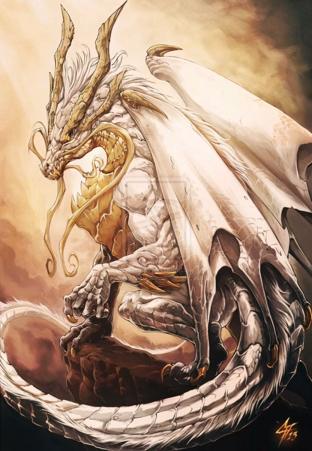 703617141769146514