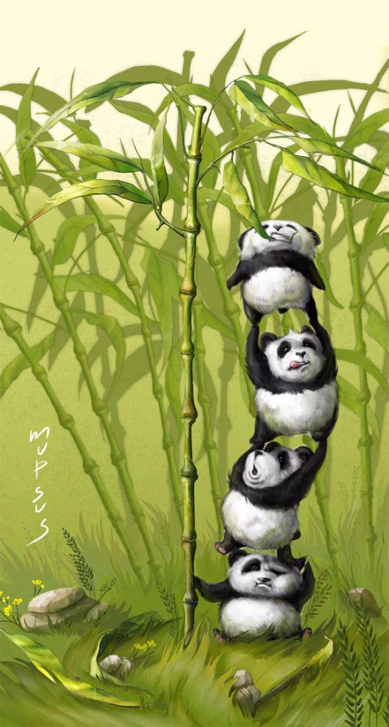 Panda