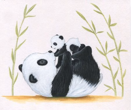 Panda