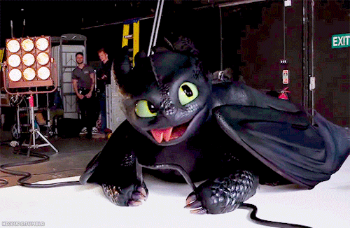 How To Train Your Dragon
