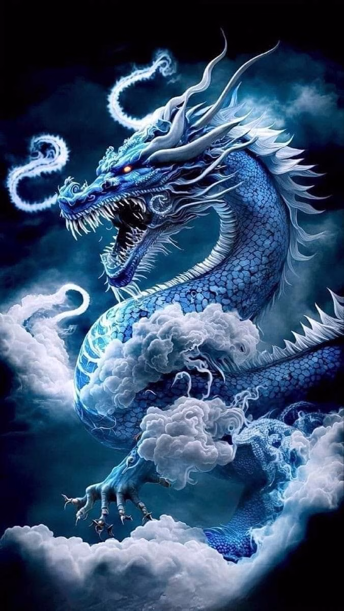 703617141809436908