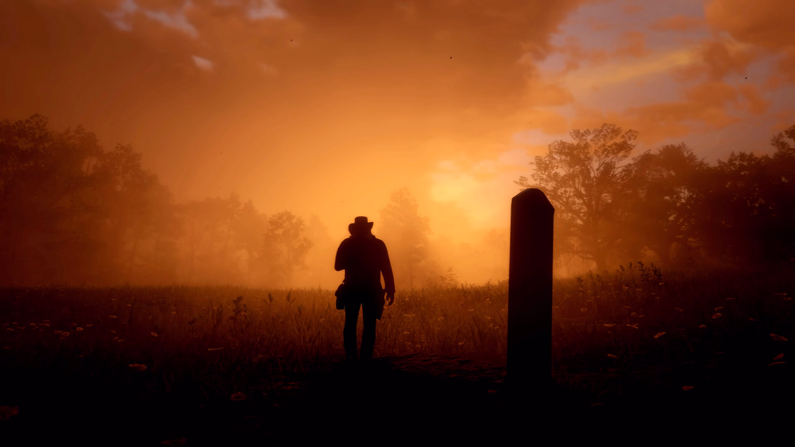 Red Dead Redemption 2_20181121164936