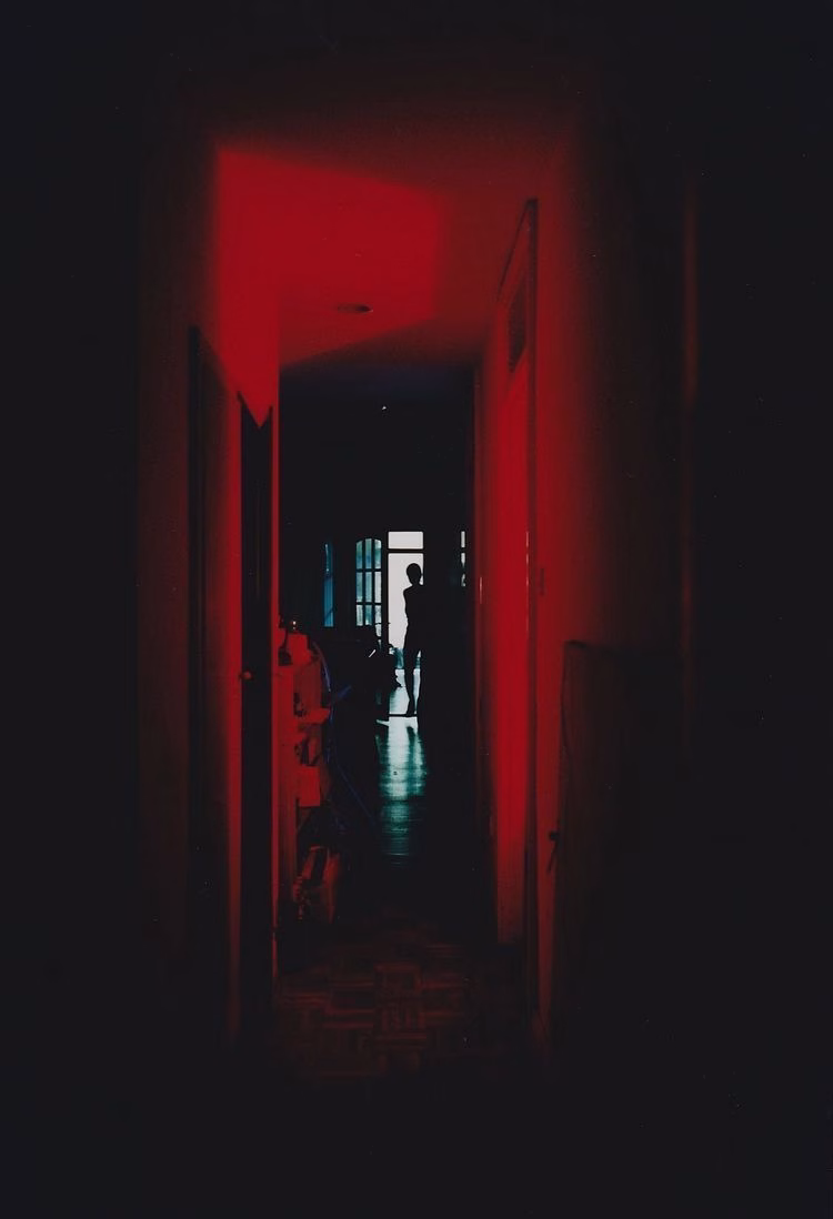 744782857113161866