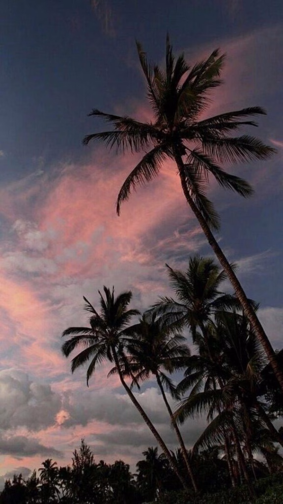 Aesthetic Wallpapers