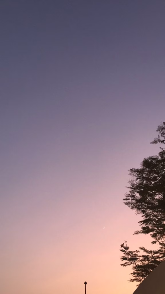 Aesthetic Wallpapers