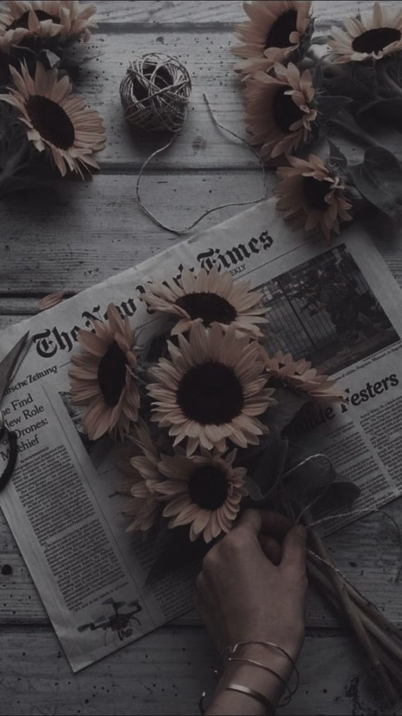 Aesthetic Wallpapers