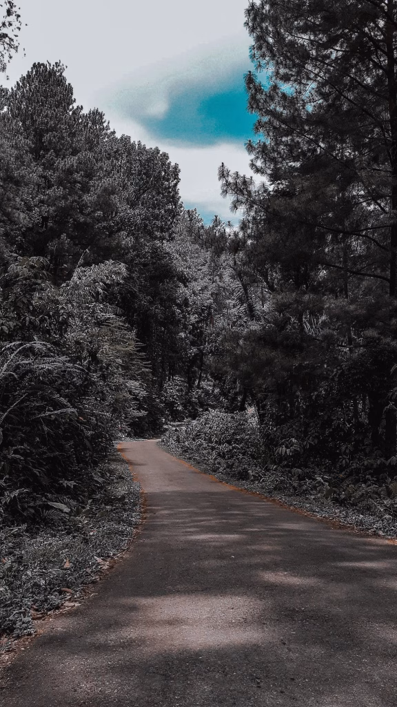 Aesthetic Wallpapers