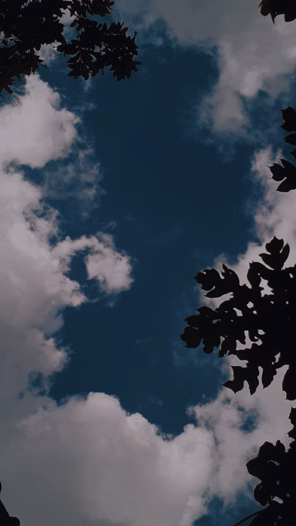 Aesthetic Wallpapers