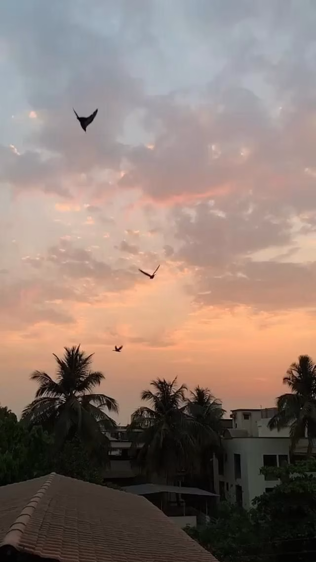 744782857130294108