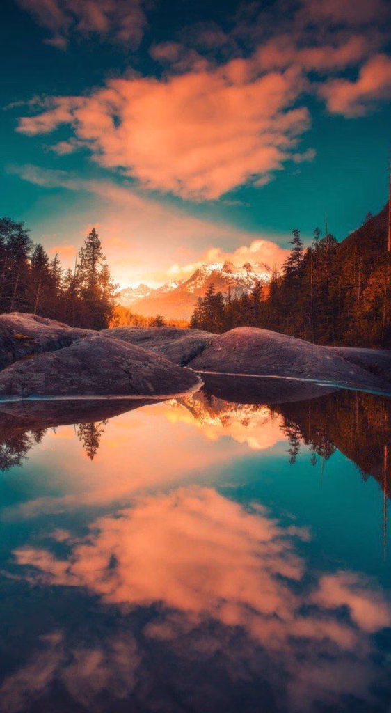 Aesthetic Wallpapers