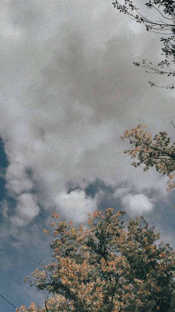 Aesthetic Wallpapers