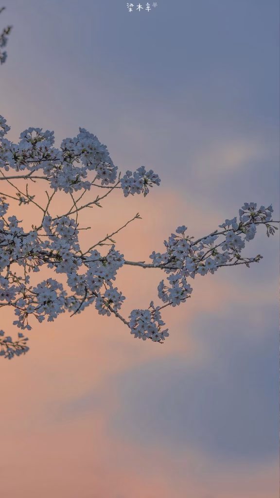 Aesthetic Wallpapers
