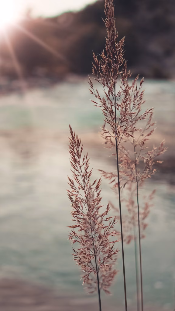 Aesthetic Wallpapers