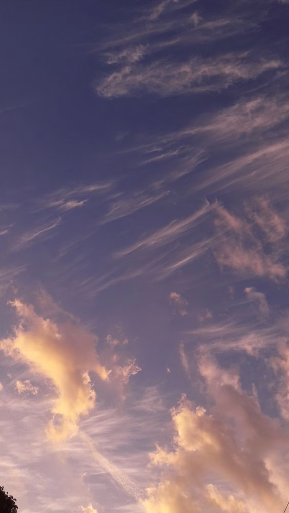 Aesthetic Wallpapers