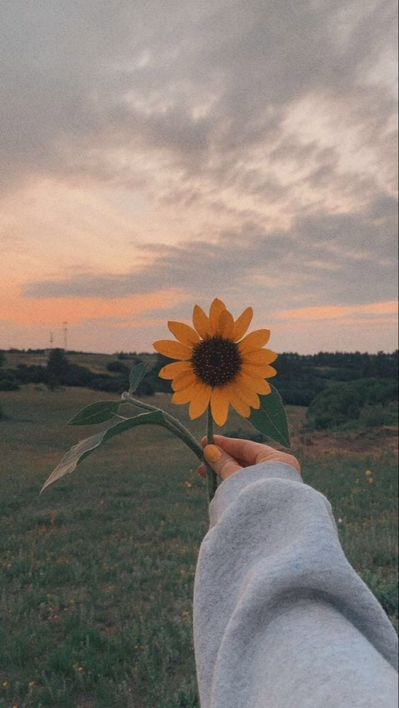 Aesthetic Wallpapers