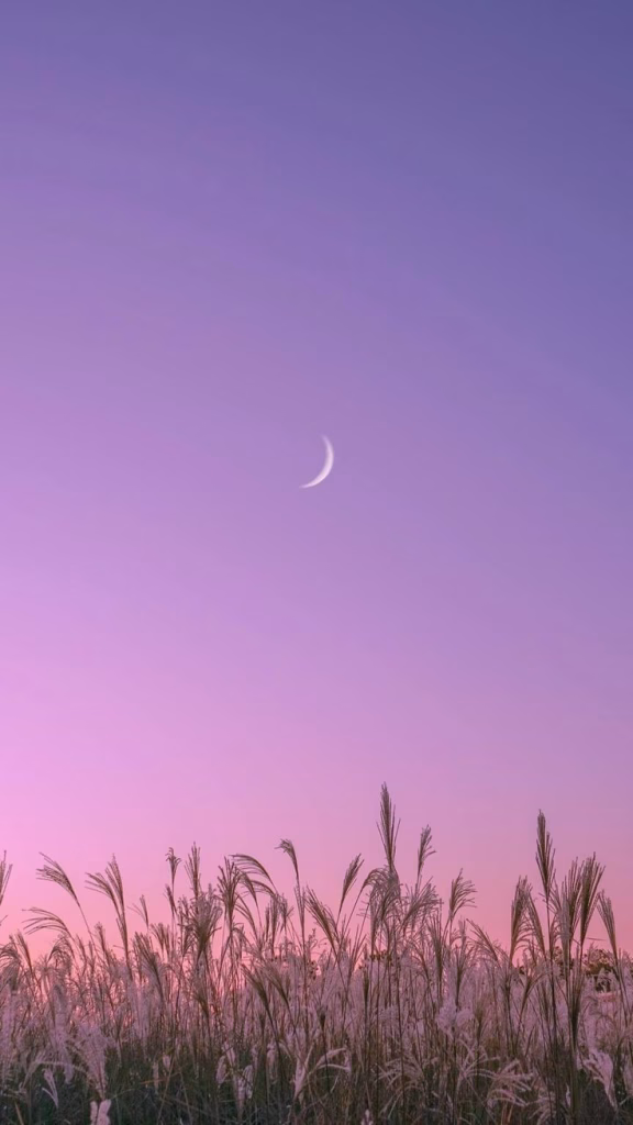 Aesthetic Wallpapers