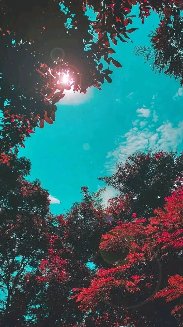 744782857145726355