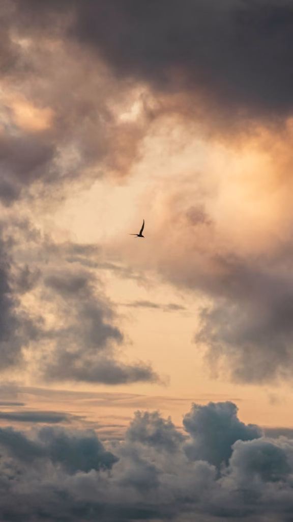 Aesthetic Wallpapers