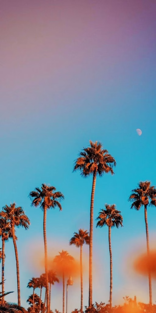 Aesthetic Wallpapers