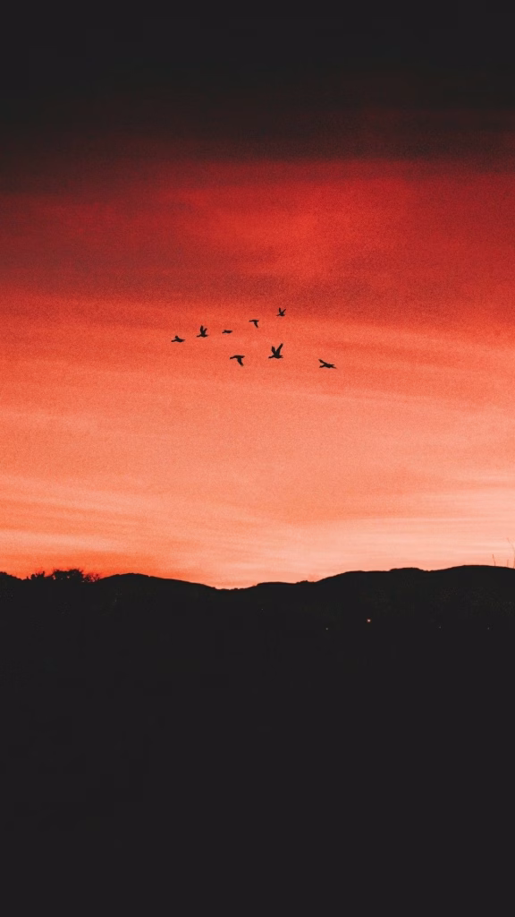 Aesthetic Wallpapers