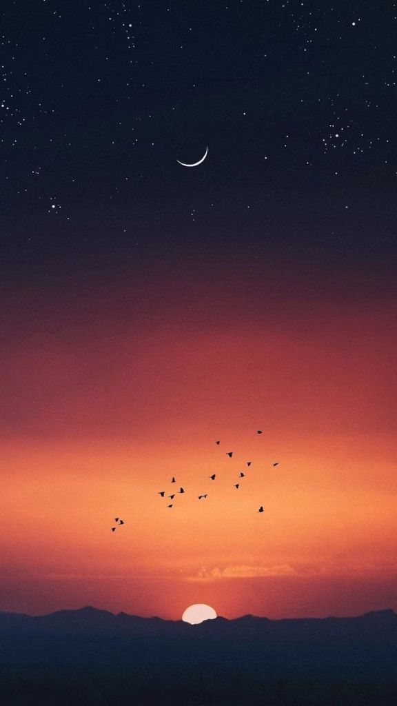 Aesthetic Wallpapers