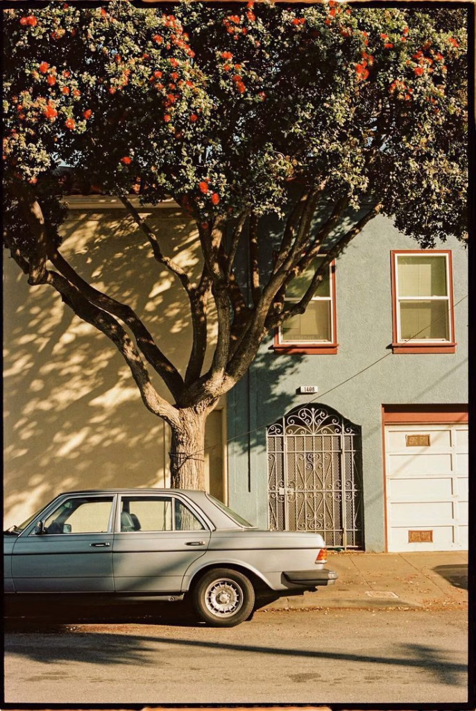 Aesthetic Wallpapers