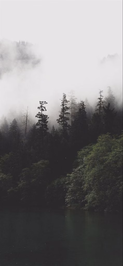 Aesthetic Wallpapers