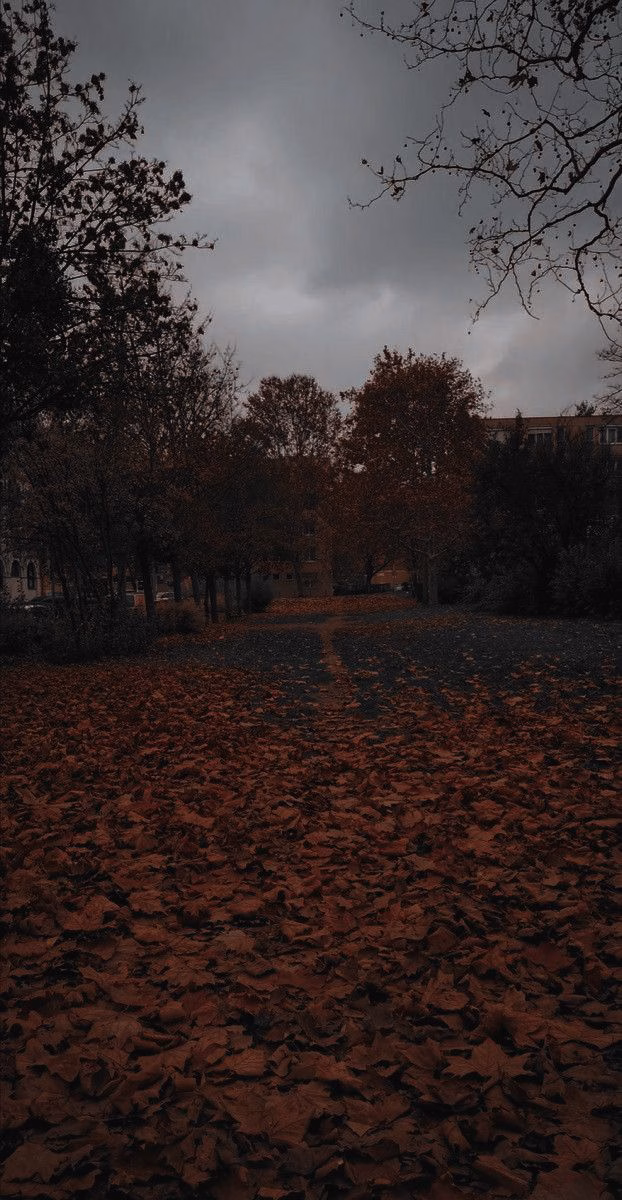 744782857161668036