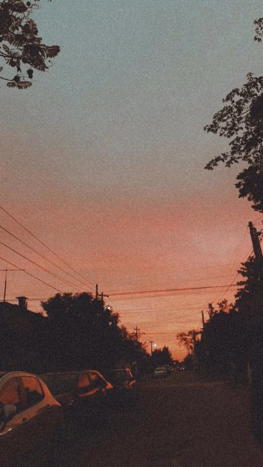 Aesthetic Wallpapers