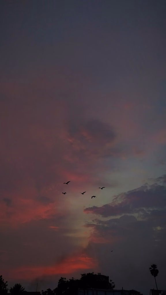 Aesthetic Wallpapers