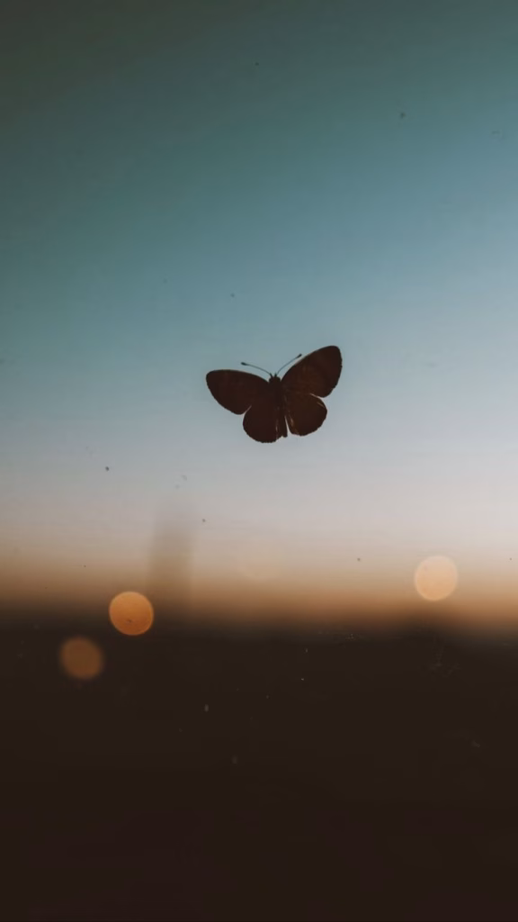 Aesthetic Wallpapers
