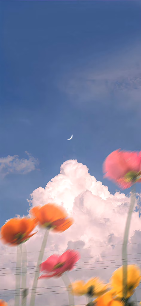 Aesthetic Wallpapers
