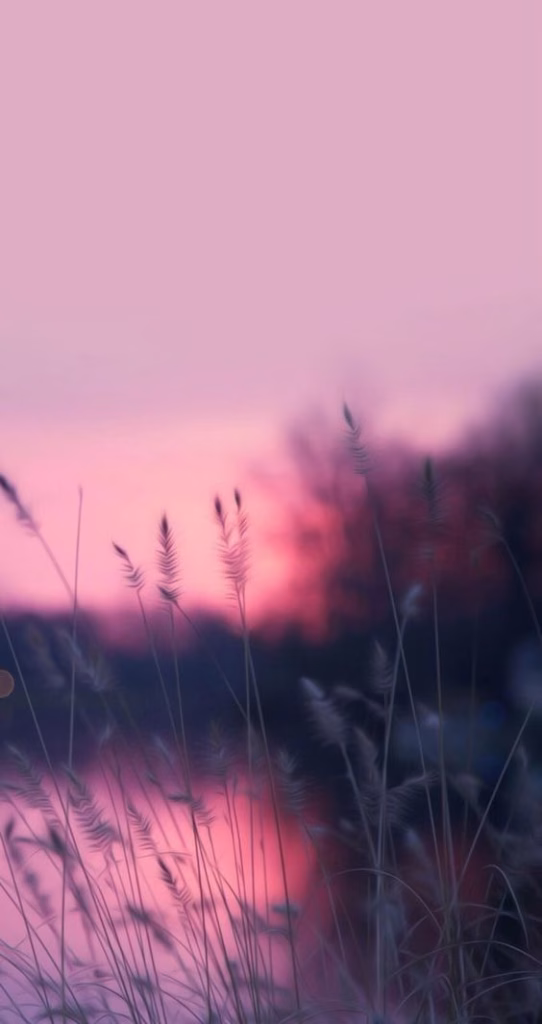 Aesthetic Wallpapers