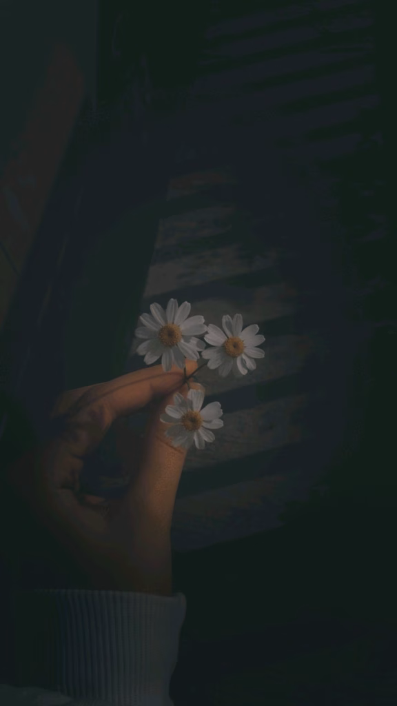 Aesthetic Wallpapers