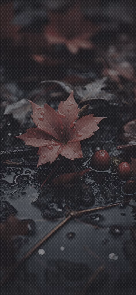 Aesthetic Wallpapers