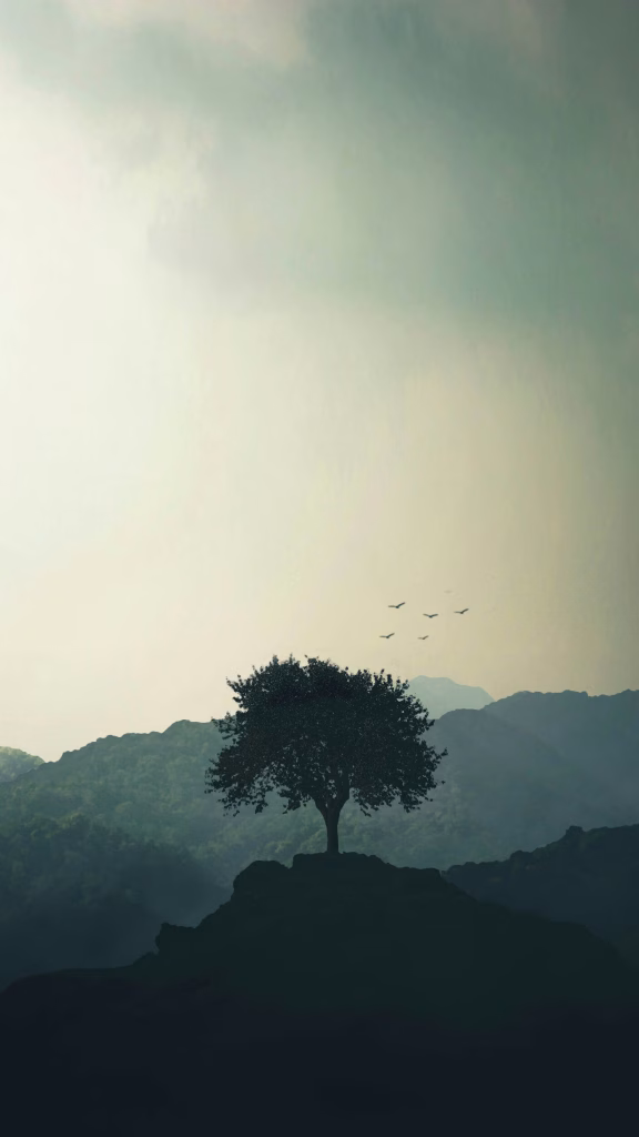 Aesthetic Wallpapers