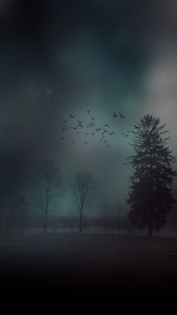 Aesthetic Wallpapers