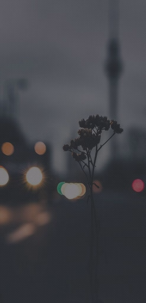 Aesthetic Wallpapers